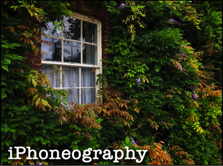 iphoneography-training
